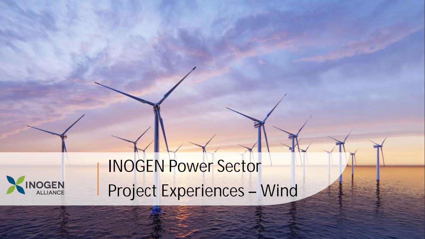 INOGEN Power Sector Project Experiences