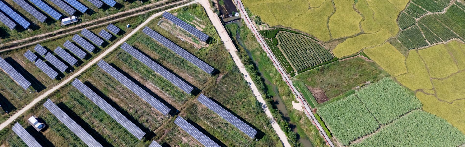 solar farm in paddy field