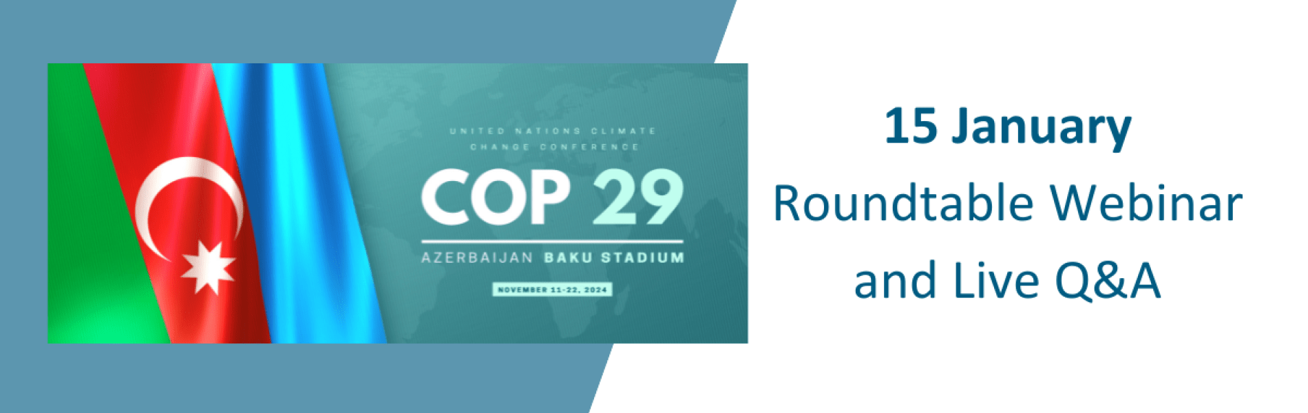 COP29 webinar