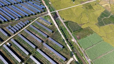 solar farm in paddy field