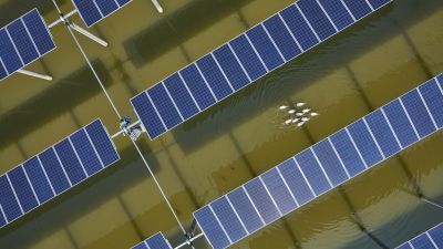 floating solar environmental impacts