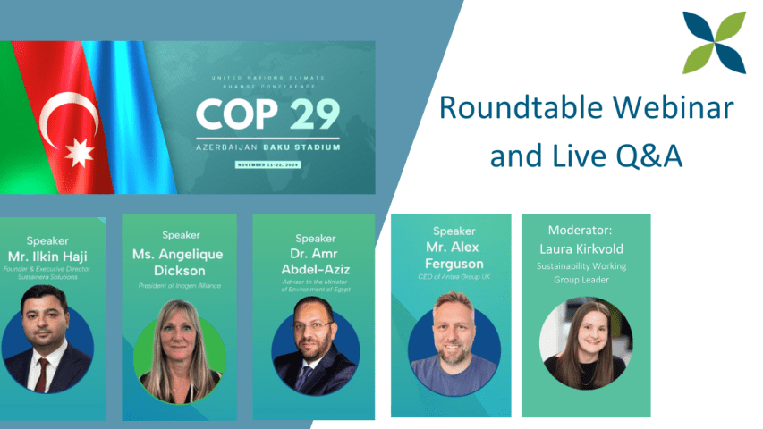 cop29 webinar