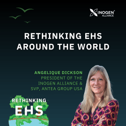 rethinking ehs around the world