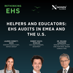 helpers and educators: ehs audits in emea and the us